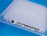 BRADY B-423 实验室标{? /></a>
                            <b><a href=